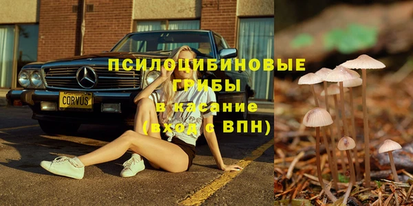 spice Алексин
