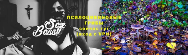 соль курить ск Алзамай