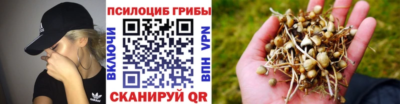 Псилоцибиновые грибы мухоморы  купить закладку  Кремёнки 